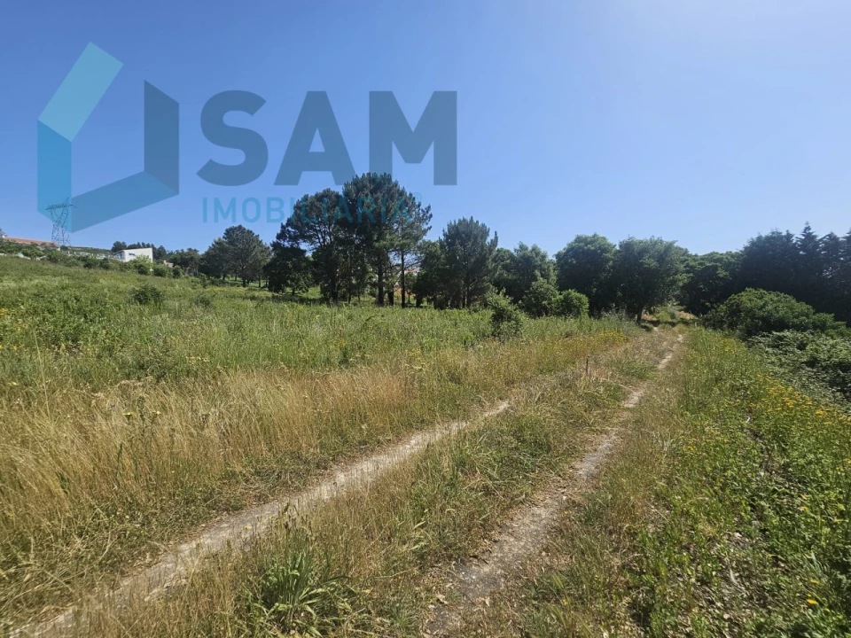 Terreno para Venda em Carvoeira e Carmões Foto 14