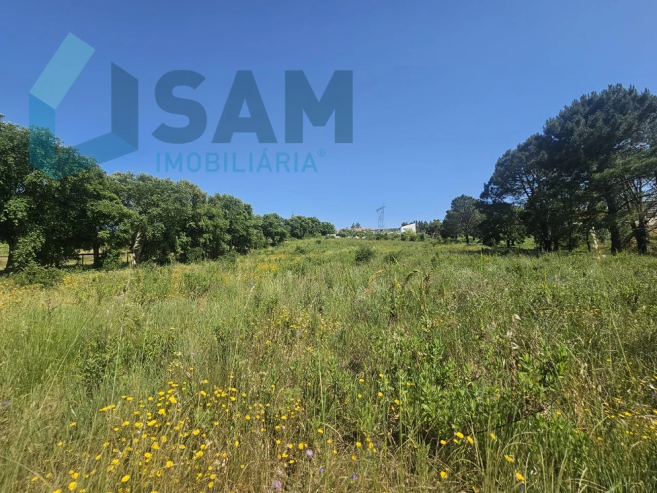 Terreno para Venda em Carvoeira e Carmões Foto 15