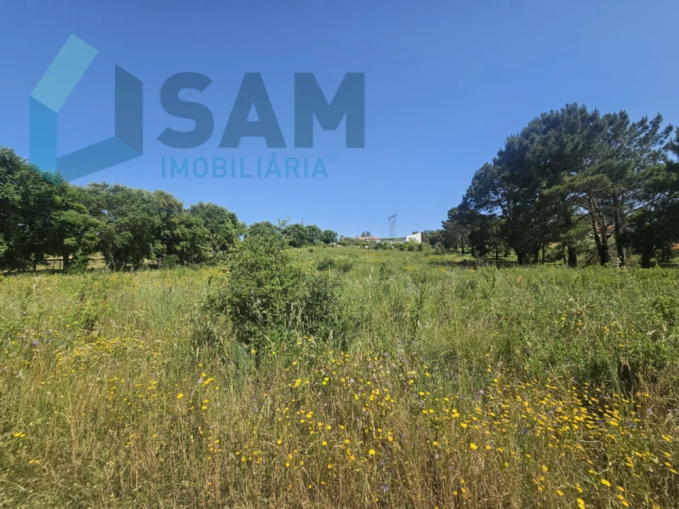 Terreno para Venda em Carvoeira e Carmões Foto 16