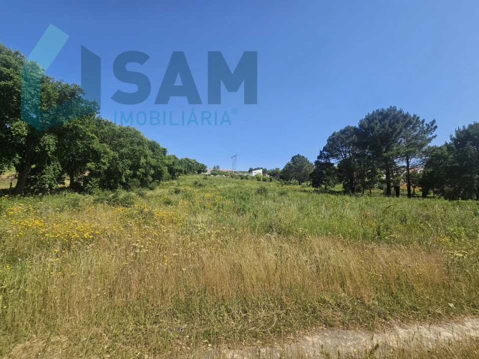 Terreno para Venda em Carvoeira e Carmões Foto 17