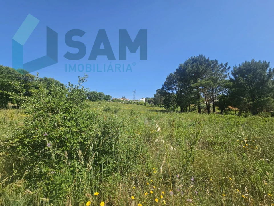 Terreno para Venda em Carvoeira e Carmões Foto 21