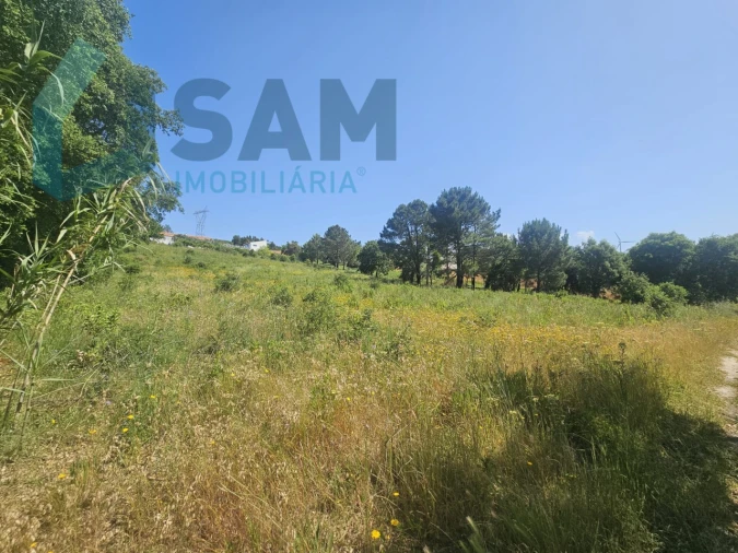 Terreno para Venda em Carvoeira e Carmões Foto 2