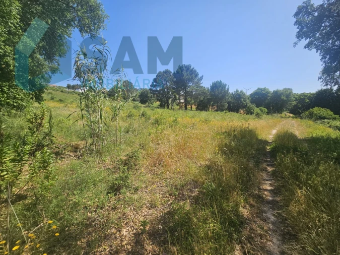 Terreno para Venda em Carvoeira e Carmões Foto 3