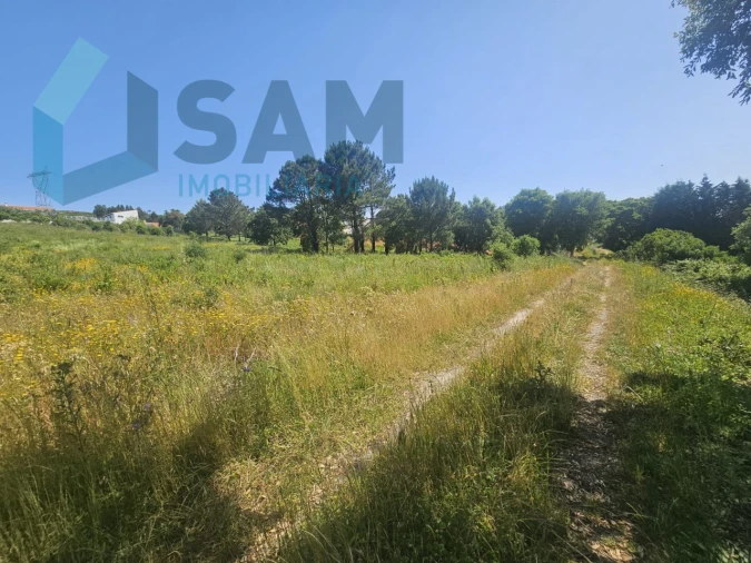 Terreno para Venda em Carvoeira e Carmões Foto 6