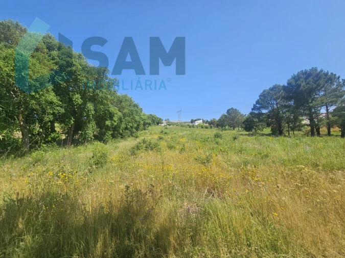 Terreno para Venda em Carvoeira e Carmões Foto 13