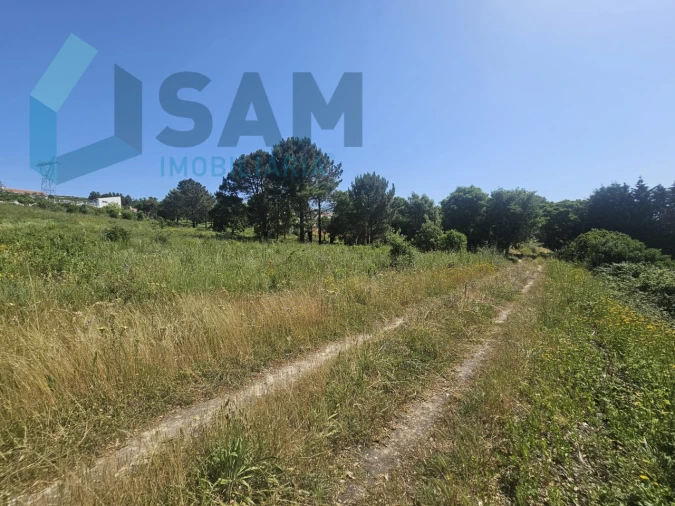 Terreno para Venda em Carvoeira e Carmões Foto 14