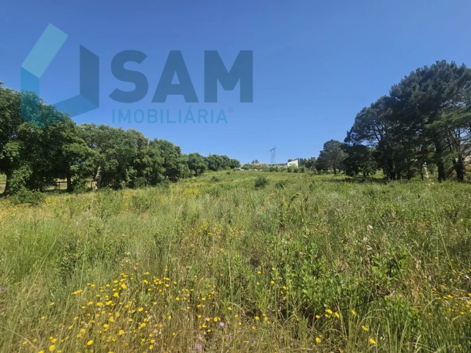 Terreno para Venda em Carvoeira e Carmões Foto 15