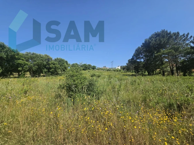 Terreno para Venda em Carvoeira e Carmões Foto 16