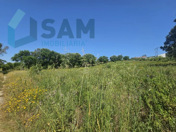 Terreno para Venda em Carvoeira e Carmões Foto 20