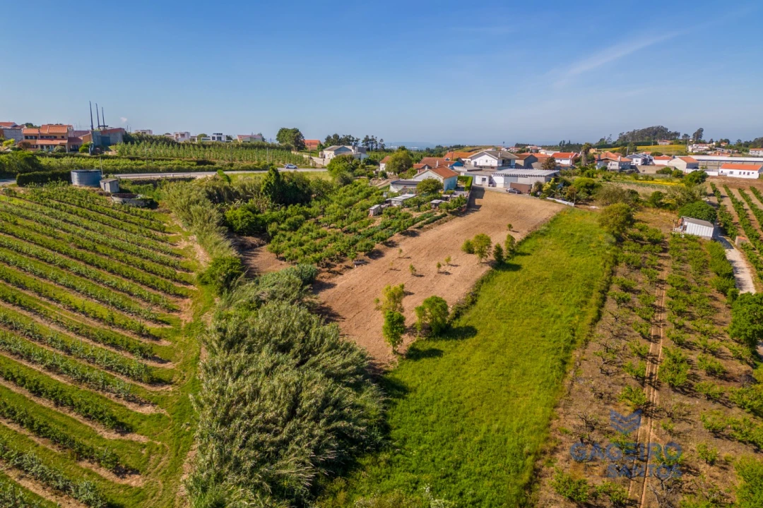 Terreno para Venda em Usseira Foto 5