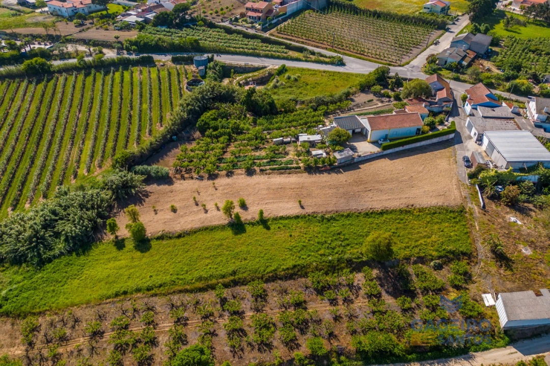 Terreno para Venda em Usseira Foto 6