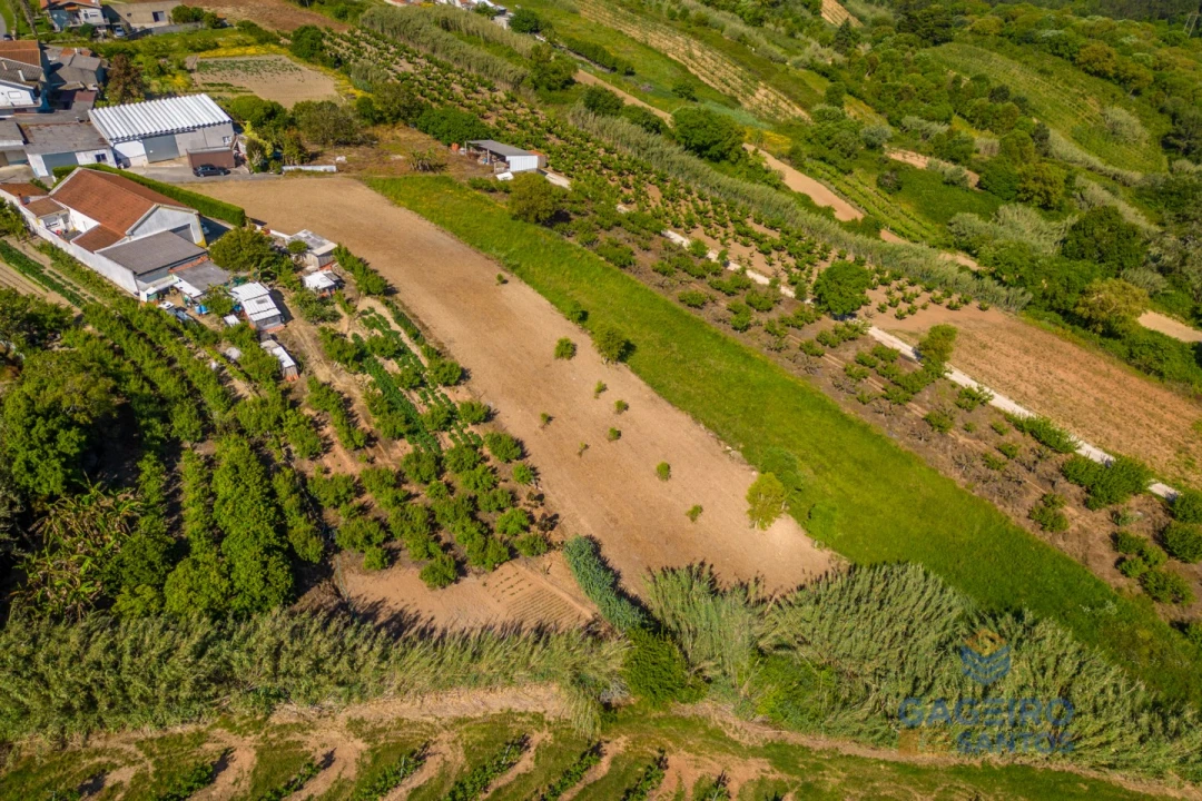 Terreno para Venda em Usseira Foto 9