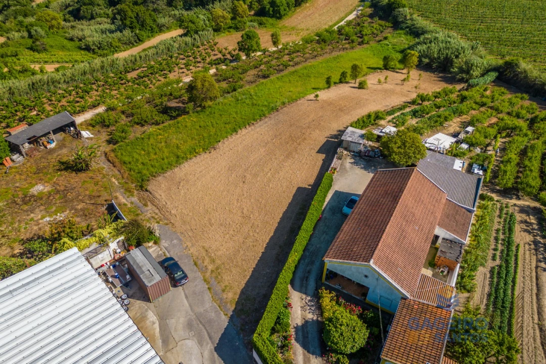 Terreno para Venda em Usseira Foto 10