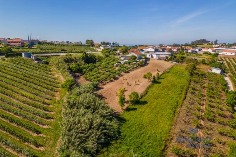 Terreno para Venda em Usseira Foto 5