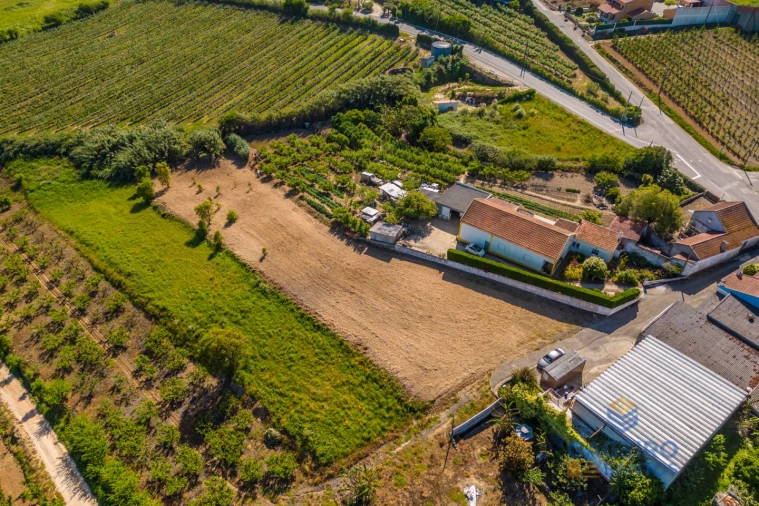 Terreno para Venda em Usseira Foto 7