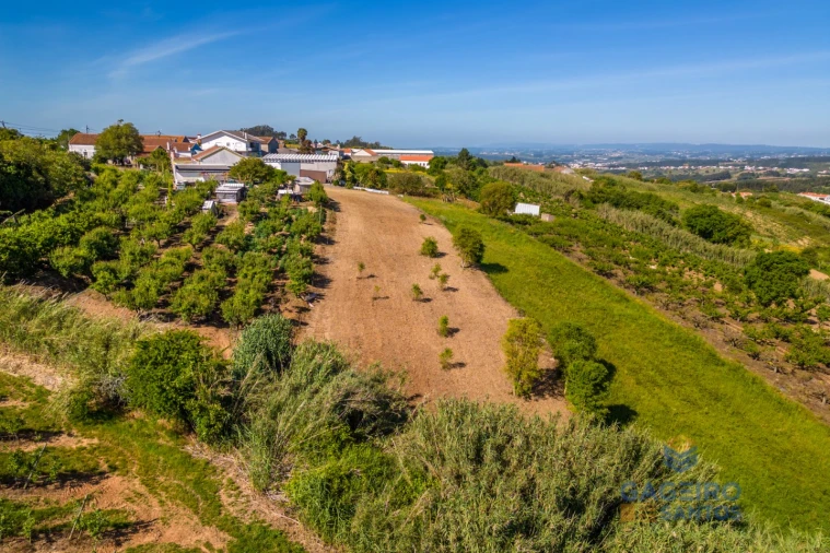 Terreno para Venda em Usseira Foto 13