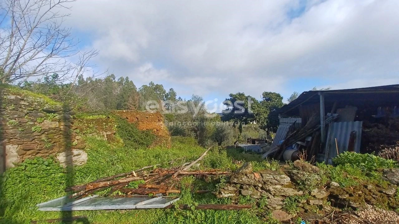 Moradia T4 para Venda em Olalhas Foto 4