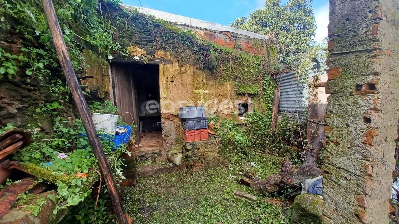 Moradia T4 para Venda em Olalhas Foto 16