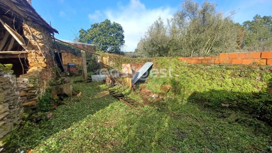 Moradia T4 para Venda em Olalhas Foto 14