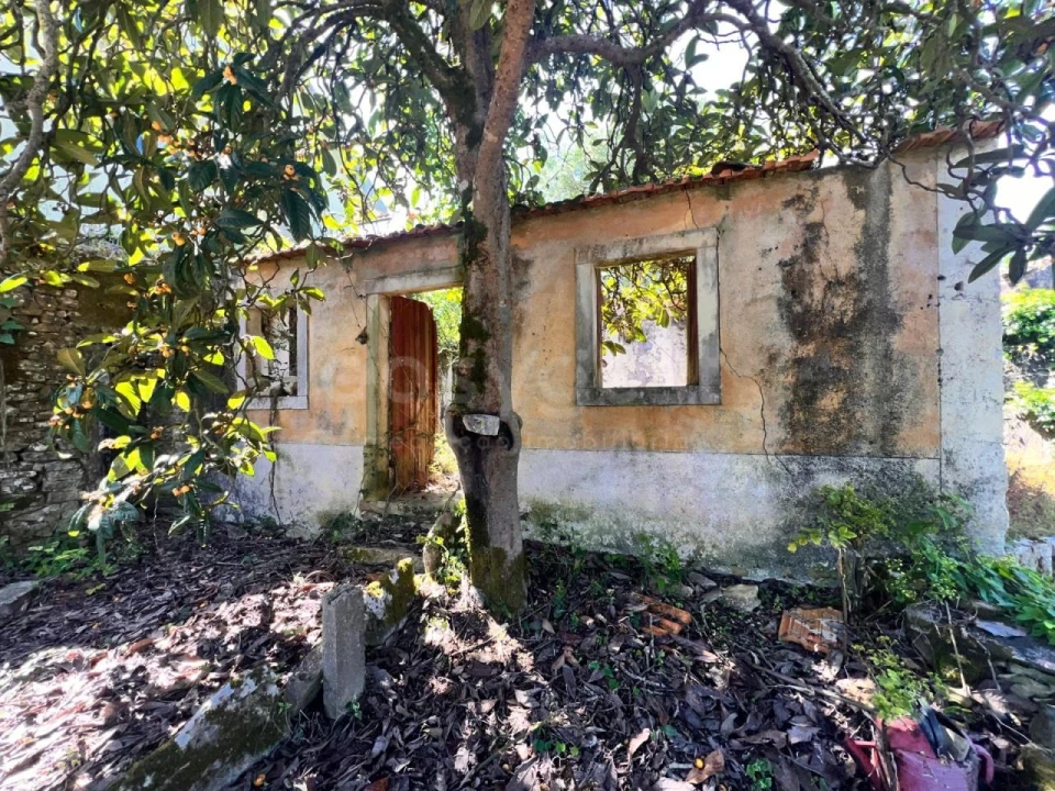 Moradia T1 para Venda em Chãos Foto 1