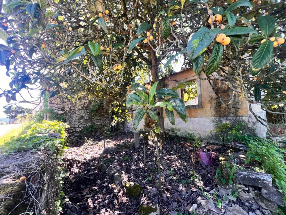 Moradia T1 para Venda em Chãos Foto 2