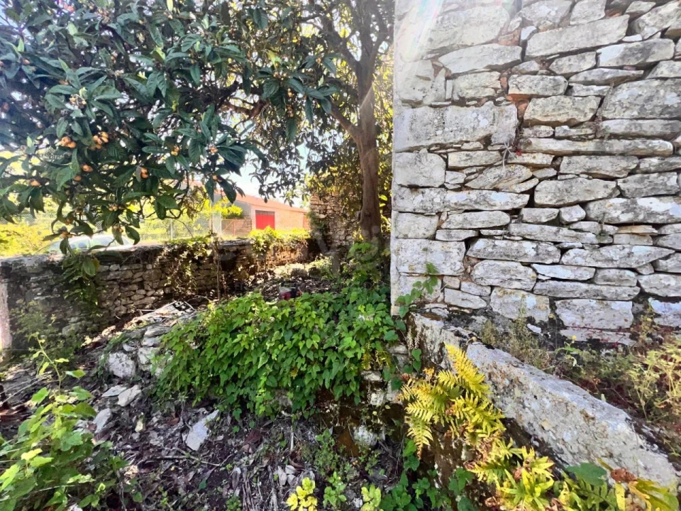 Moradia T1 para Venda em Chãos Foto 3