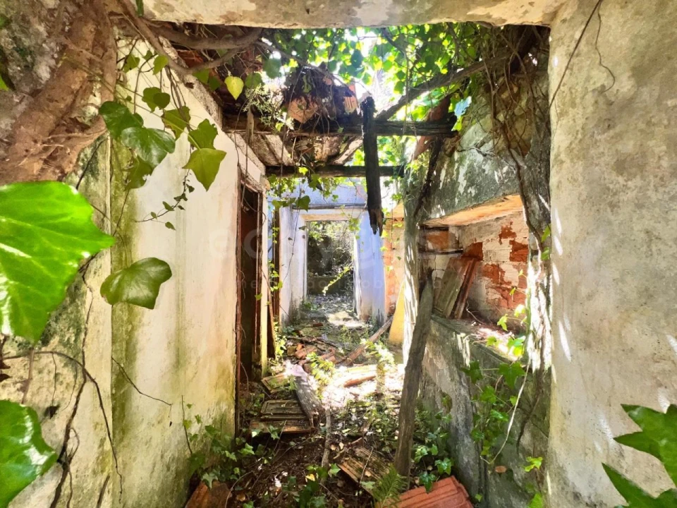 Moradia T1 para Venda em Chãos Foto 4