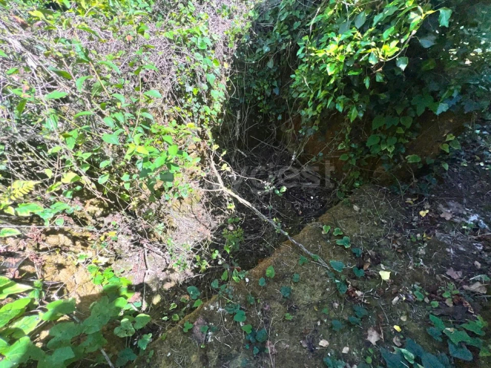 Moradia T1 para Venda em Chãos Foto 6