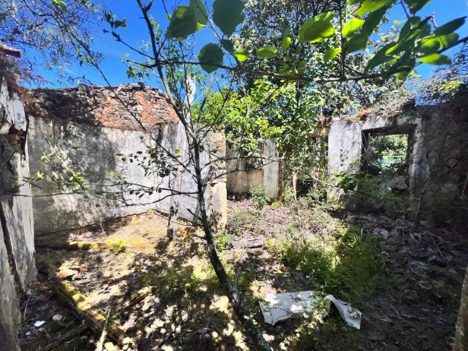 Moradia T1 para Venda em Chãos Foto 15