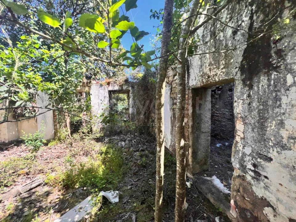 Moradia T1 para Venda em Chãos Foto 17