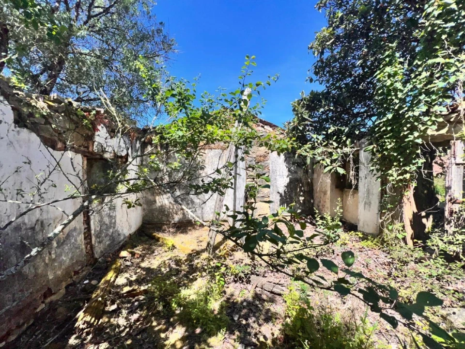 Moradia T1 para Venda em Chãos Foto 18