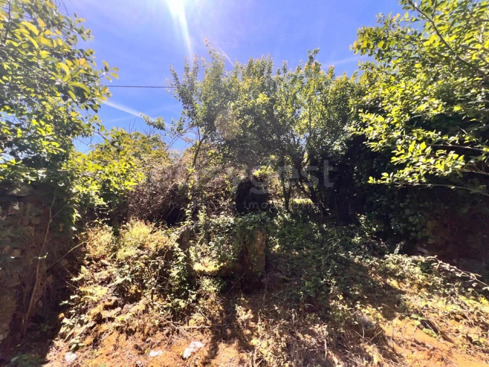 Moradia T1 para Venda em Chãos Foto 20