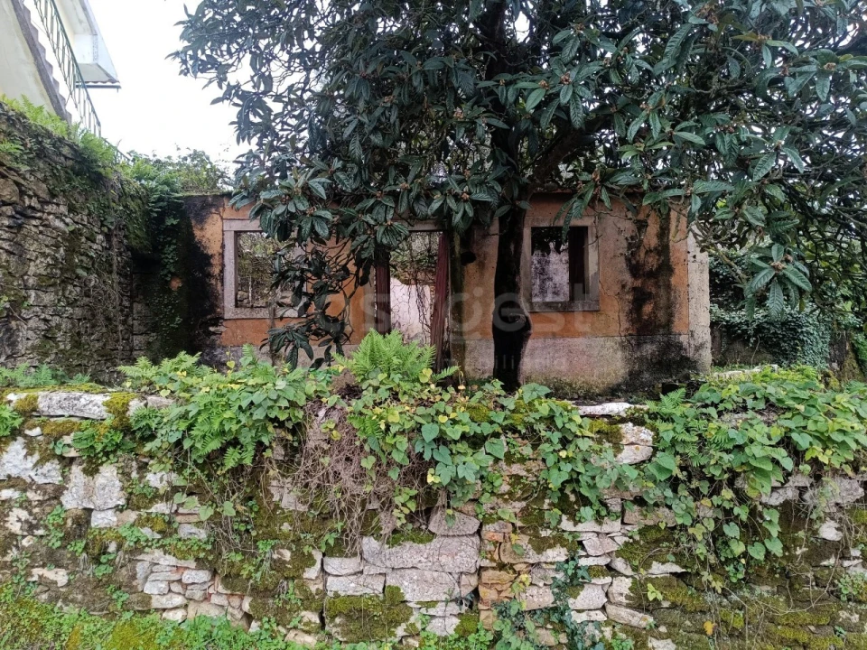 Moradia T1 para Venda em Chãos Foto 1