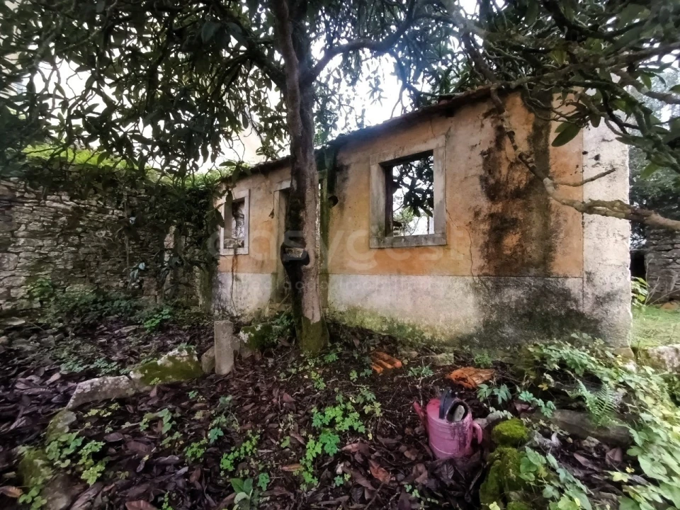 Moradia T1 para Venda em Chãos Foto 2