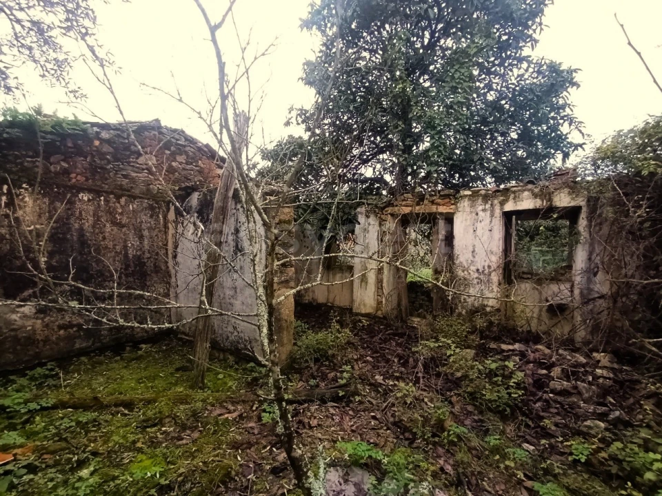 Moradia T1 para Venda em Chãos Foto 9