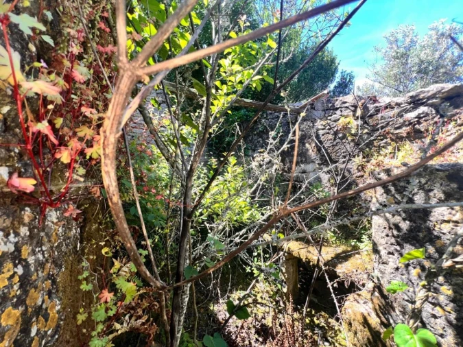 Moradia T1 para Venda em Chãos Foto 14