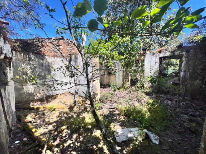 Moradia T1 para Venda em Chãos Foto 15