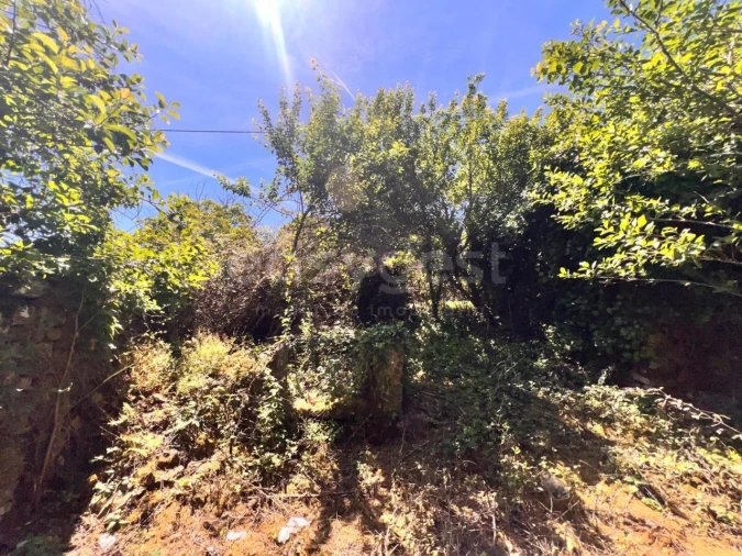 Moradia T1 para Venda em Chãos Foto 20