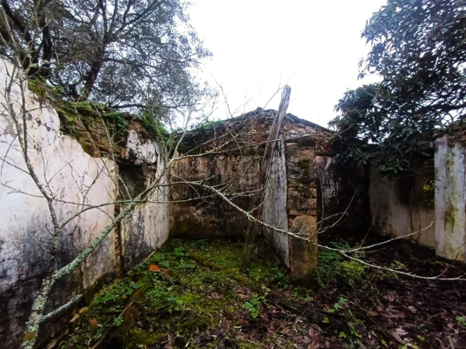 Moradia T1 para Venda em Chãos Foto 11