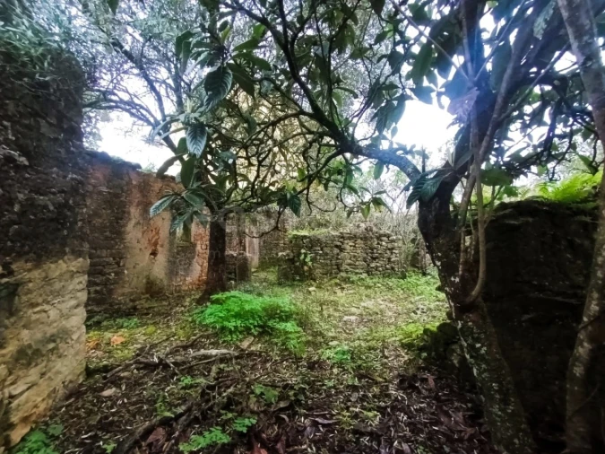 Moradia T1 para Venda em Chãos Foto 14