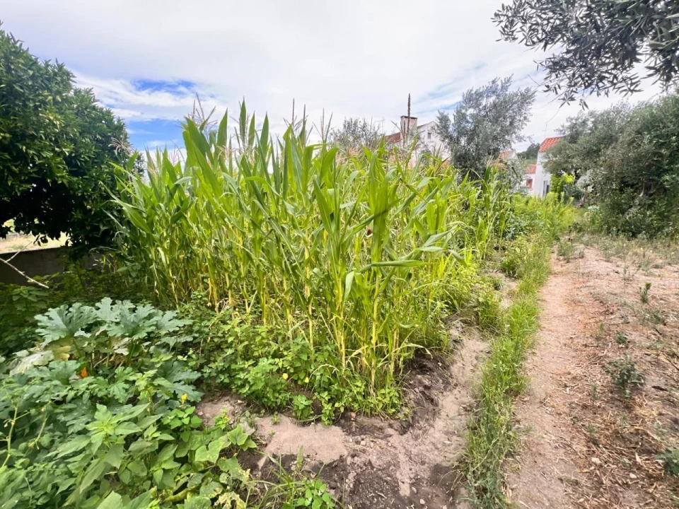 Moradia T2 para Venda em Bemposta Foto 11