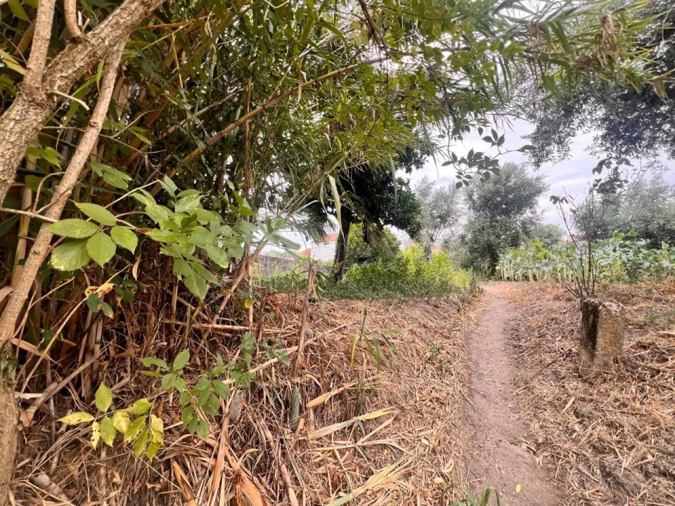 Moradia T2 para Venda em Bemposta Foto 12