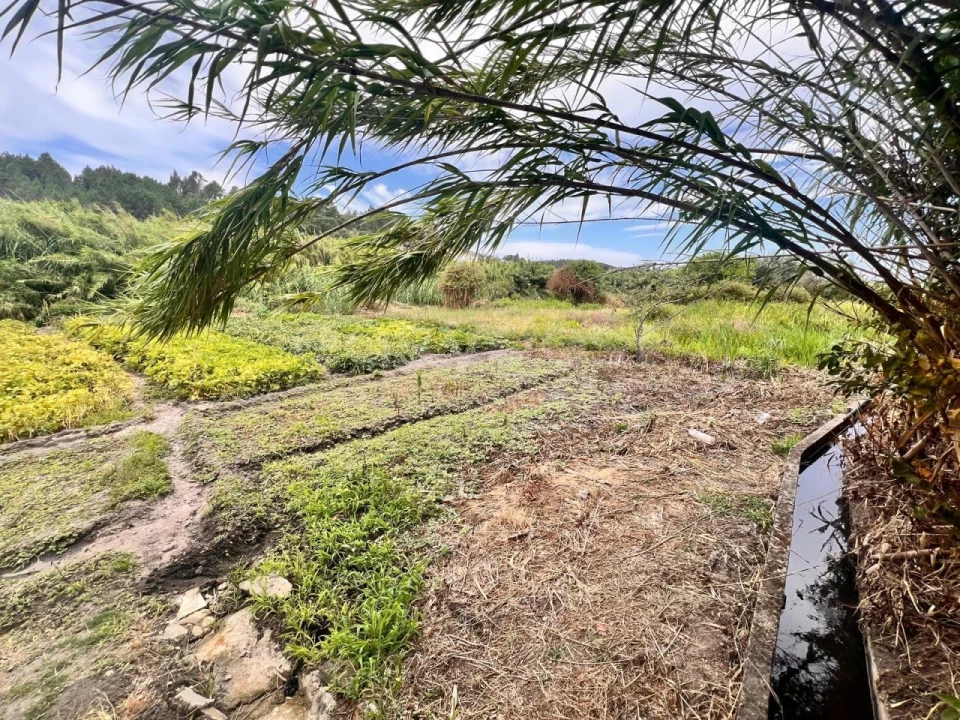 Moradia T2 para Venda em Bemposta Foto 14