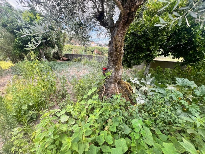 Moradia T2 para Venda em Bemposta Foto 9