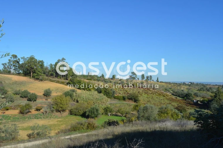 Moradia T3 para Venda em Brogueira, Parceiros de Igreja e Alcorochel Foto 1