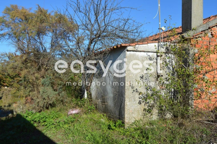 Moradia T3 para Venda em Brogueira, Parceiros de Igreja e Alcorochel Foto 17