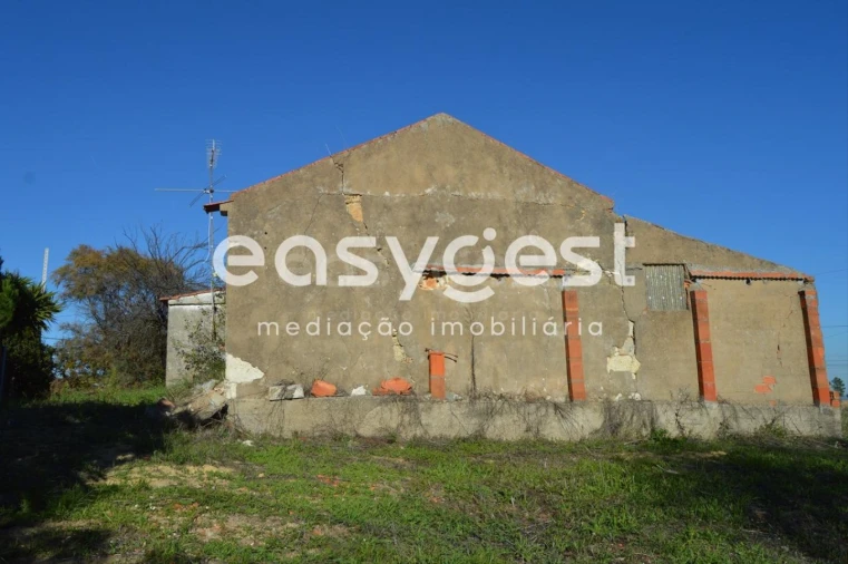 Moradia T3 para Venda em Brogueira, Parceiros de Igreja e Alcorochel Foto 18