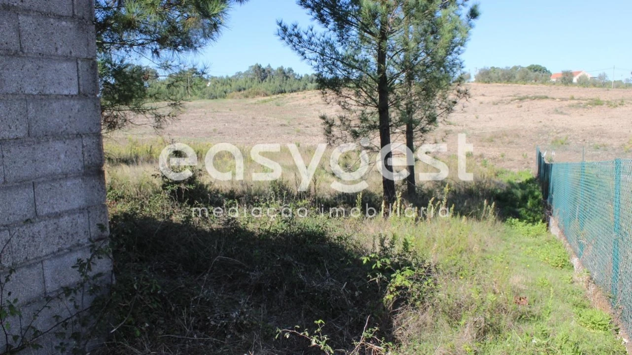 Terreno para Venda em Serra e Junceira Foto 2
