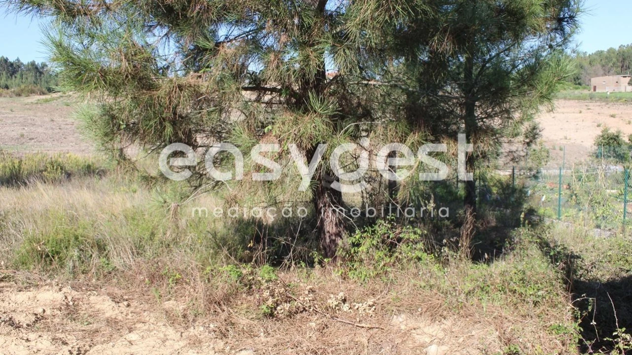 Terreno para Venda em Serra e Junceira Foto 3