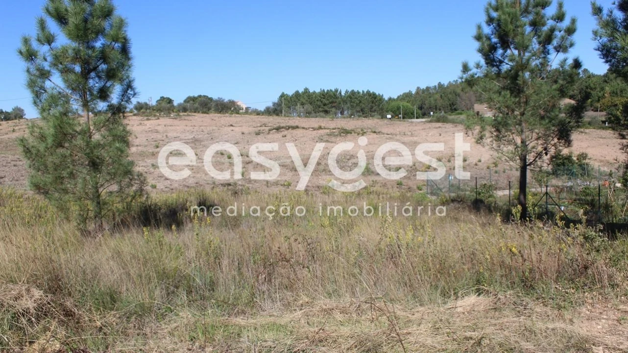 Terreno para Venda em Serra e Junceira Foto 4